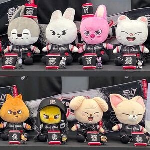 Official Stray Kids DOMINATE Ecopa Stadium Merch
